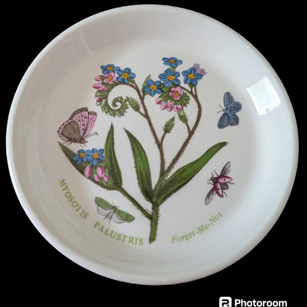 Portmeirion Botanic Garden small tidbit plate/coaster